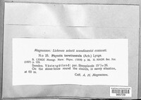 Image Associated With the Occurence